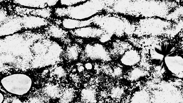 麥生田兵吾さんの作品《光源》キャプチャ画像