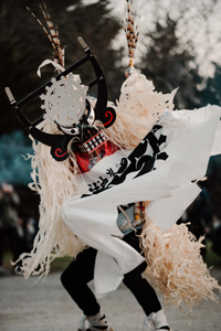 張山しし踊り「雌じし狂い」写真