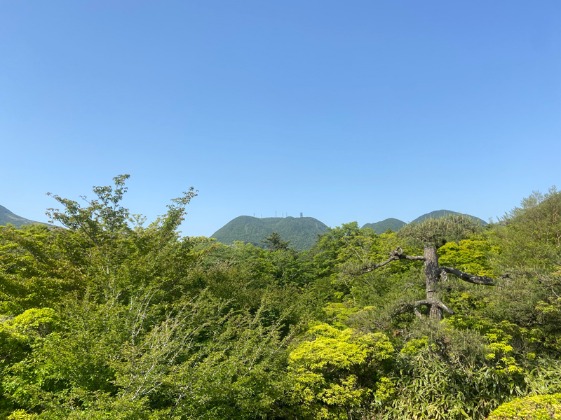 長塚圭史の雨上がる第18回画像（二子山）