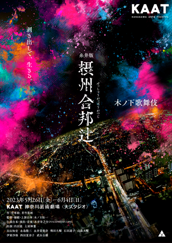 木ノ下歌舞伎『糸井版 摂州合邦辻』チラシ画像